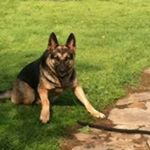 Profile Picture of Mark Brunk (@markbrunk) on Instagram