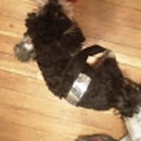 Profile Picture of Lorenzo Duran (@lorenzo-duran-13) on Quora