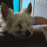 Profile Picture of Oliver Scott (@oliver.scott.999) on Instagram
