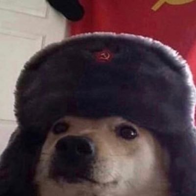 Profile Picture of Ben Letts (@SkyGaming151) on Twitter