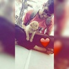Profile Picture of Rahul Bajaj (@@rahulbajaj6) on Tiktok