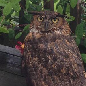 Profile Picture of John Withey (@withey_john) on Twitter