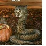 Andrew Payne - Instagram Profile Picture of Andrew Payne (@andrew_knows_nothing) on Instagram