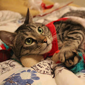 Whitney Gifford - Youtube Profile Picture of Whitney Gifford (@Wgwolfy) on Youtube