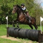 Profile Picture of Janet Burnett (@janatdogshouse) on Instagram