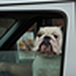 Profile Picture of Juan Calderon (@comparte_fotos) on Flickr