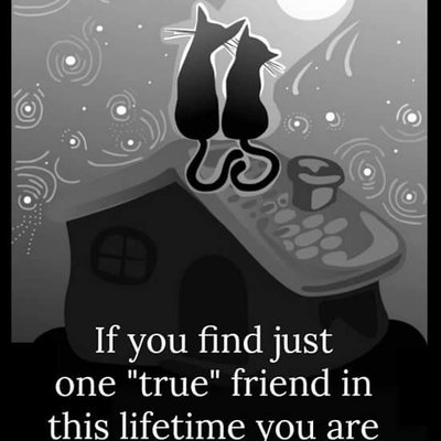 Profile Picture of Mabel Solomon (@MabelSolomon13) on Twitter