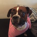 Profile Picture of Brian Zeman (@hideousbeasts) on Instagram