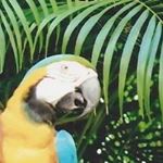 Profile Picture of Joshua Beaulieu (@ilikecheese1266) on Instagram