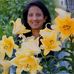 Profile Picture of Anita Raju (@anita.raju.142) on Facebook