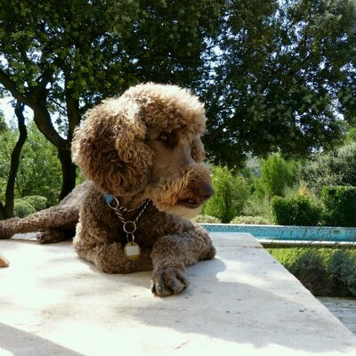 Profile Picture of Bill Cooney (@wncooney) on Twitter