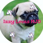 Profile Picture of Isabelle Grace Cunningham (@izzy_dance2007) on Instagram