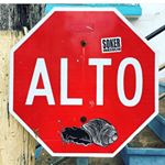 Profile Picture of Andrew Stretch (@drewstretch) on Instagram