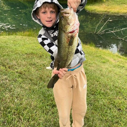 Profile Picture of Nathan cates (@kathleencates3) on Tiktok