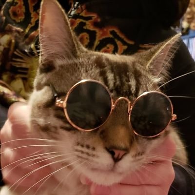 Profile Picture of Richard Sealey (@RichardSealey7) on Twitter