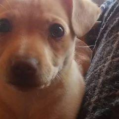 Profile Picture of Kenneth Curtis Byers (@@kennethcurtisbyers) on Tiktok