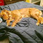 Profile Picture of Christian Holbrook (@christian_holbrook762) on Instagram