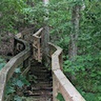 Profile Picture of Graciela Silva (@graciela-silva-27) on Quora