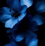 Profile Picture of David Brashear (@David-Brashear) on Facebook