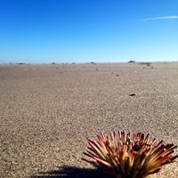 Profile Picture of Daniel Kempf (@daniel-kempf-9) on Quora