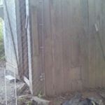 Profile Picture of joshua truitt (@batmanbrothers0203) on Instagram