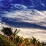 Profile Picture of EleanorKessler (@eleanorkessleru) on Instagram