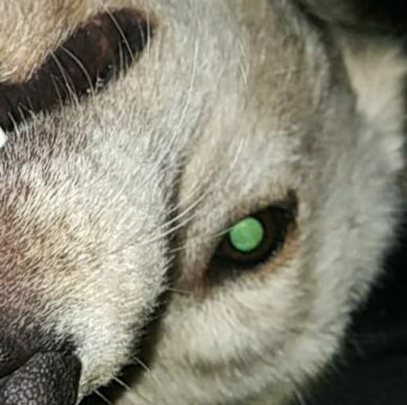 Profile Picture of Jason Ball (@wloop) on Poshmark