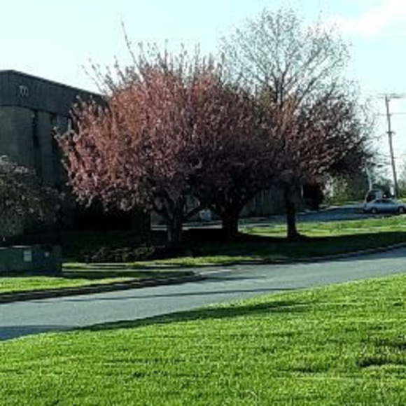 Xhynil Sphinx - Poshmark Profile Picture of Xhynil Sphinx (@xhynil15) on Poshmark