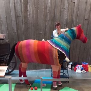 Profile Picture of Amanda Schwabe (@aknitica) on Twitter