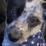 Profile Picture of Carrie Foster (@carriefoster731) on Instagram