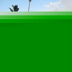 Profile Picture of Brian Amick (@bamick1) on Myspace