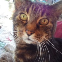 Profile Picture of Jess Wild  (@jess-wild-29) on Quora