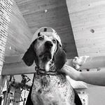 Profile Picture of tyler annis (@tyler7mm08) on Instagram