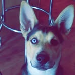 Tyler Debucci - Facebook Profile Picture of Tyler Debucci (@tyler.debucci) on Facebook