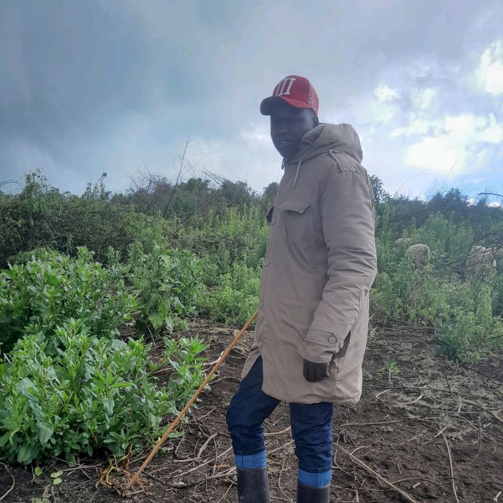 Profile Picture of Alex lemaaaah (@missphell) on Tiktok