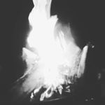 Profile Picture of Graham Steele (@fidiotn) on Instagram