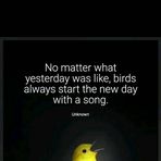 Kevin Seal - Facebook Profile Picture of Kevin Seal (@Kevin-Seal) on Facebook