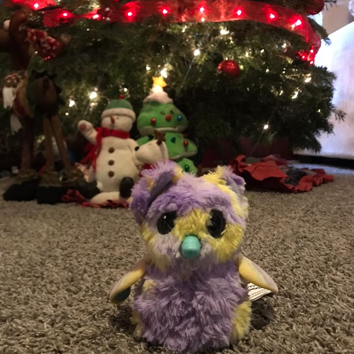 Profile Picture of Barry🎄❤️ (@barry.the.hatchimal) on Tiktok