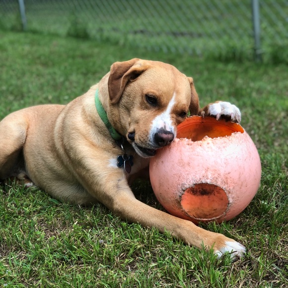 Profile Picture of Jason Grundman (@grundman) on Poshmark