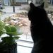 Profile Picture of Els Lugt (@elugt22) on Pinterest
