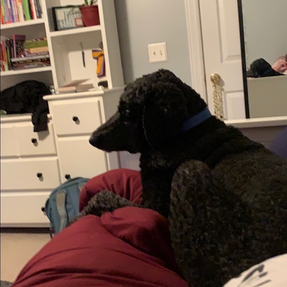 Profile Picture of Alana Ivarson (@alanaivarson) on Poshmark