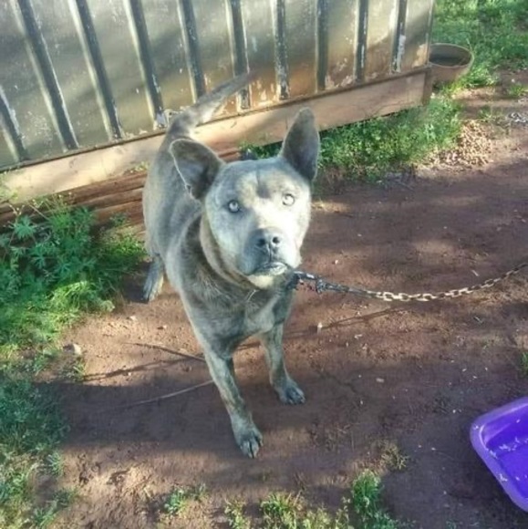 Profile Picture of Tim Cobb (@timcobb148) on Poshmark