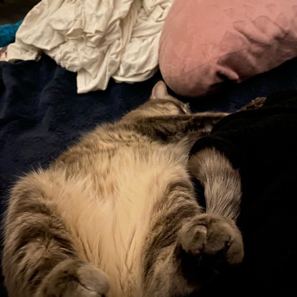 Profile Picture of Yuritzi Calderon (@yuritzicalderon) on Poshmark