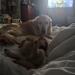 Profile Picture of Hamman Bryant (@Hamman-Bryant) on Facebook