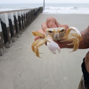 Profile Picture of Zambo (@DemiccoJohn) on Twitter