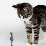 Profile Picture of Adam (@adam.fuss06) on Instagram