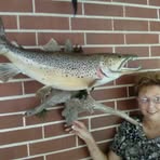 Profile Picture of Brenda Harkreader (@Brenda-Harkreader) on Facebook