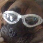 Profile Picture of Chris Trexler (@christrexler13) on Pinterest