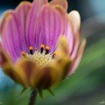 Profile Picture of herrick (@petersensalome4d) on Instagram