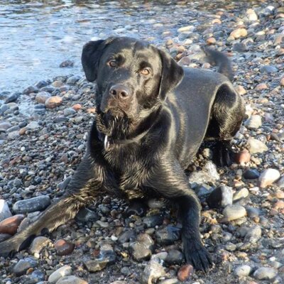 Profile Picture of Mark Fausnaugh (@FausnaughMark) on Twitter